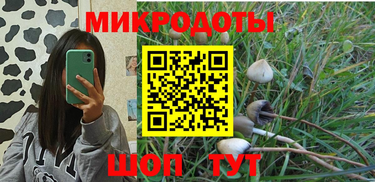 Каменск-Уральский  Псилоцибиновые грибы MAGIC MUSHROOMS  Вход с VPN 