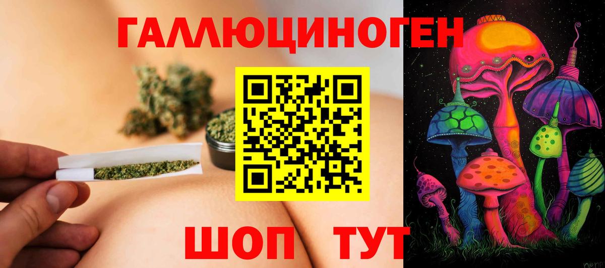 Псилоцибиновые грибы Psilocybe Каменск-Уральский